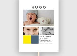 skylt till studenten